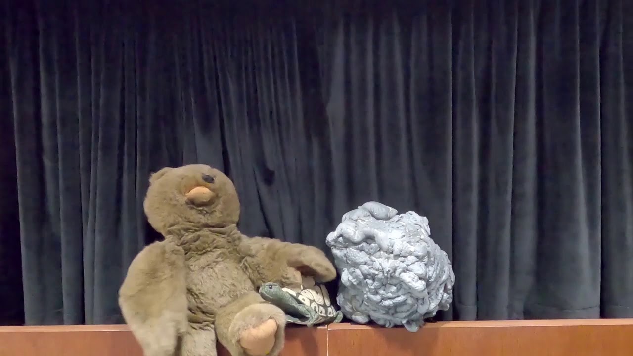 Puppet Show based on the book, I Want My Hat Back