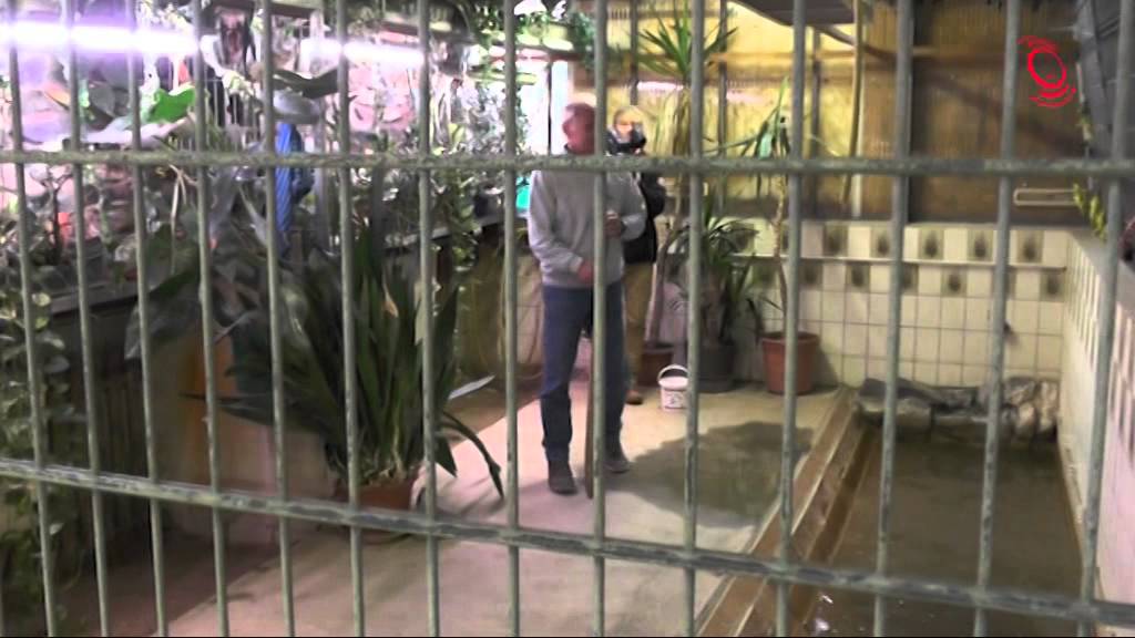 Zu Besuch bei Jürgen Hergert - Schlangenfarm Schladen