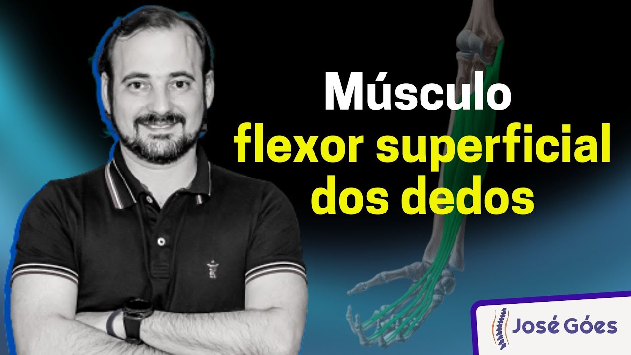 Músculo flexor superficial dos dedos | José Góes