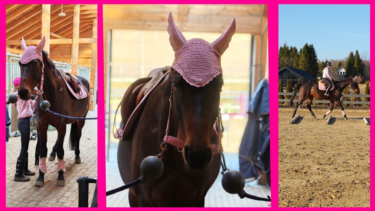 Trening drążkowy z Belmondo | Training with Belmondo