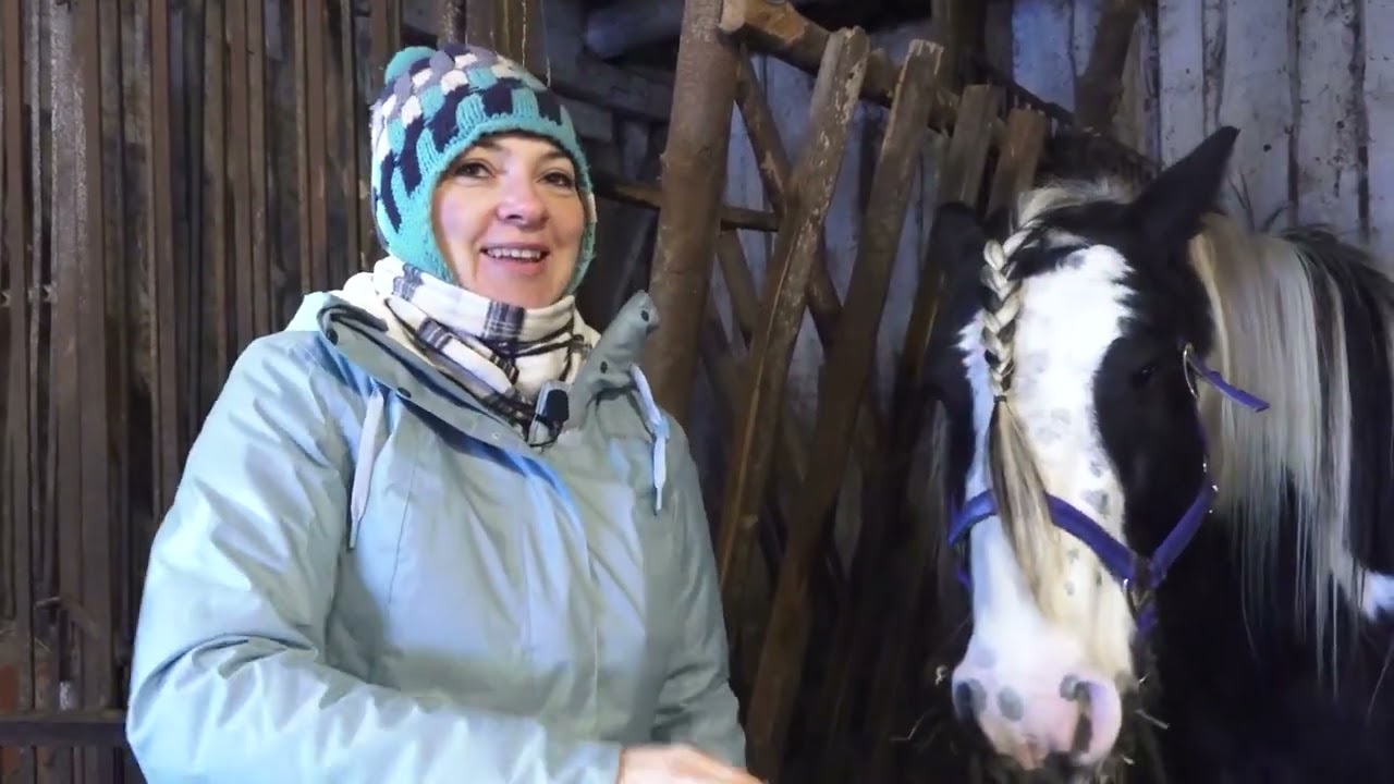 Mājā un sētā: Īru tinkeri un citi zvēri Katvaru pagasta “Priedītēs”