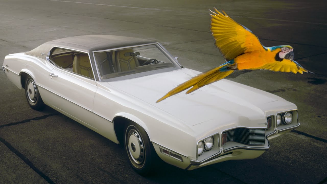 Bunkie's Bird Beak 1970-1971 Ford Thunderbird