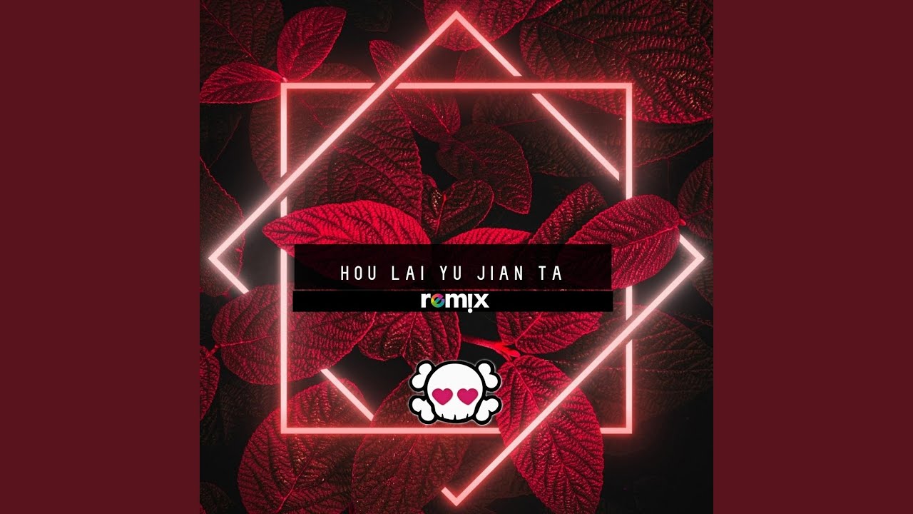 Hou Lai Yu Jian Ta (DJ Remix)