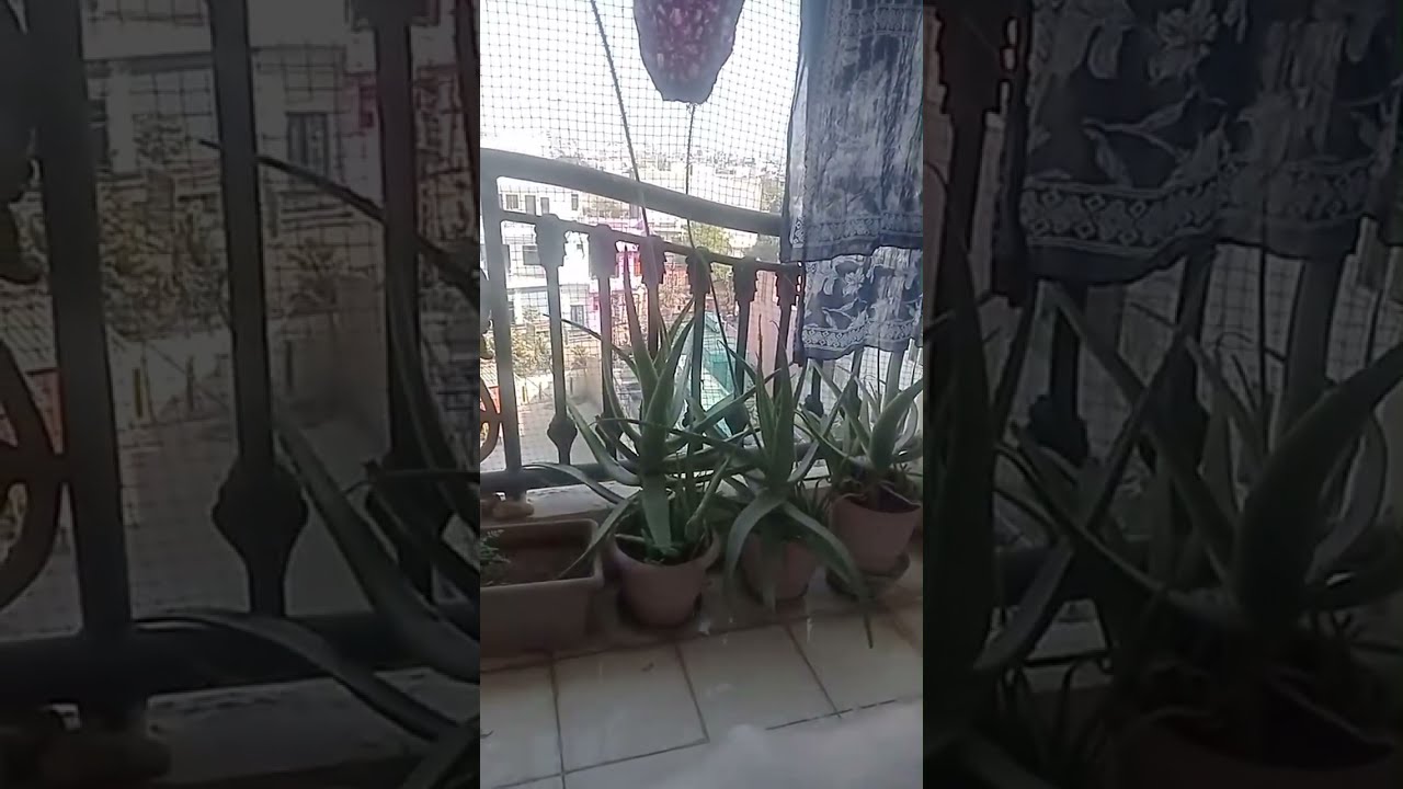 जयपुर शहर का नजारा देखते हुए 🏡🫰💞