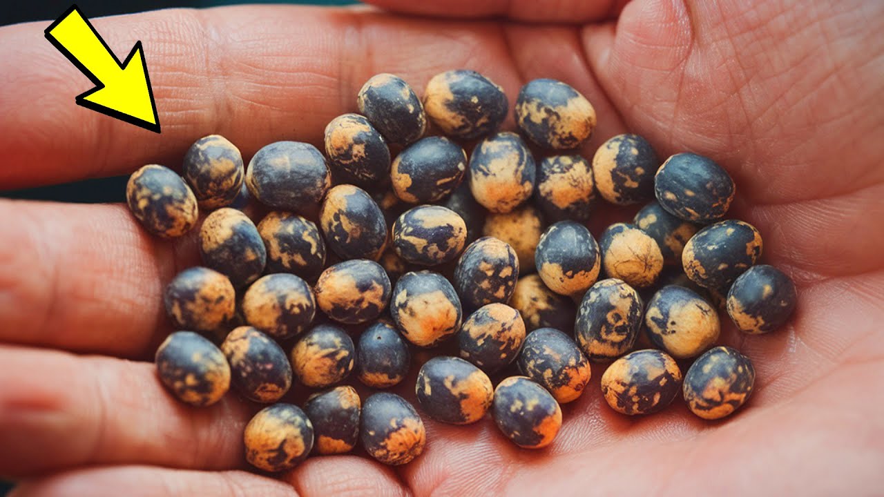 Kobieta znalazła pod ł&oacute;żkiem dziwne jajka. Kiedy dowiedziała się, co to było, była przerażona!