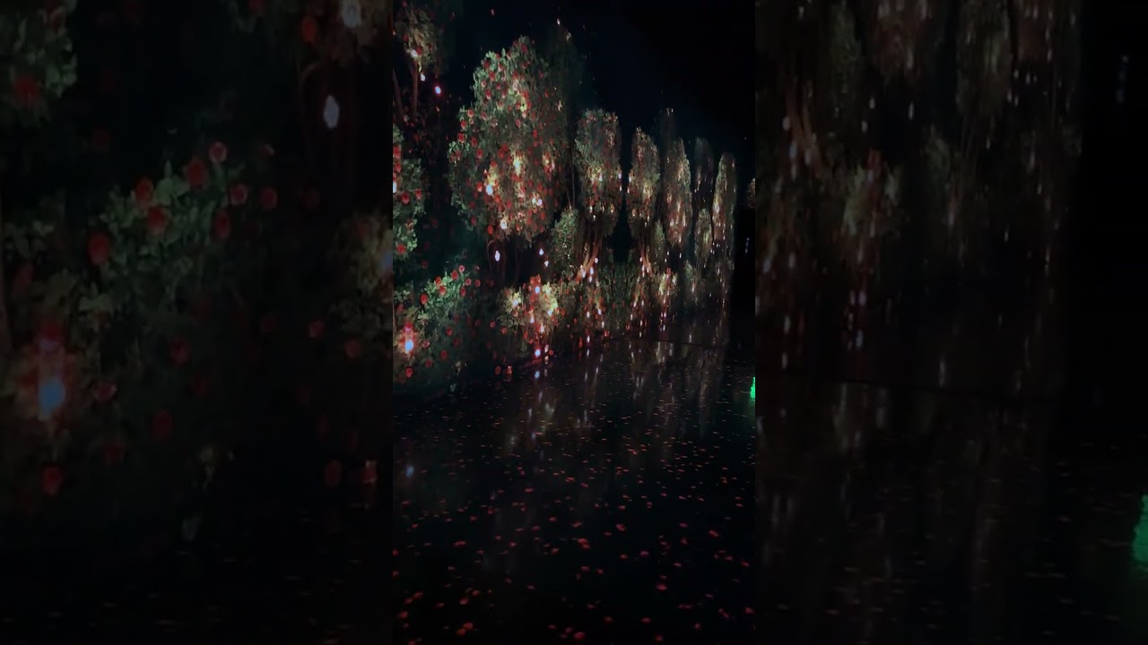 Exploring Room-Scale Digital Art: A Showcase at Las Vegas Arte Museum! #art #shorts #viralshorts