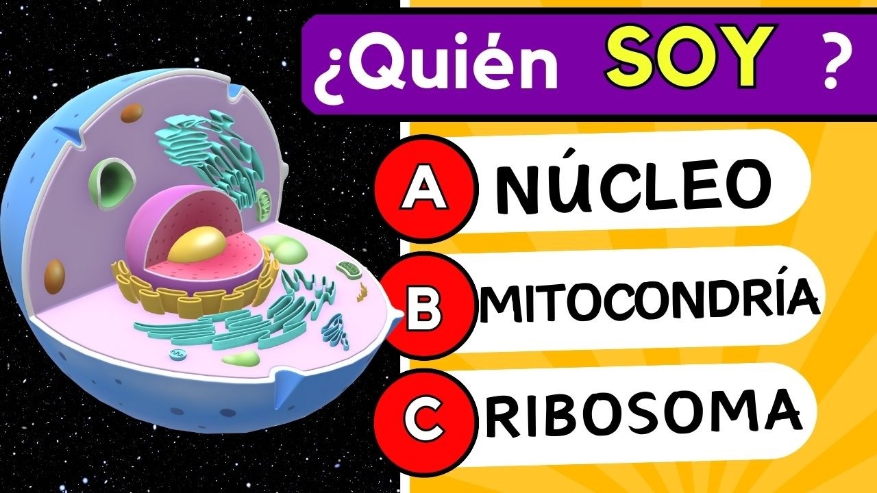 🧬🧠 Examen de la célula 🦠 🔬¿Sabes Identificar las PARTES de la CÉLULA?💡 Examen UNAM🔬🧬Quiz de Biología