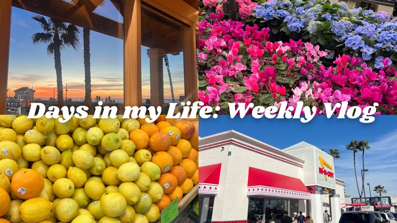 Days in my Life: weekly vlog in Southern California 