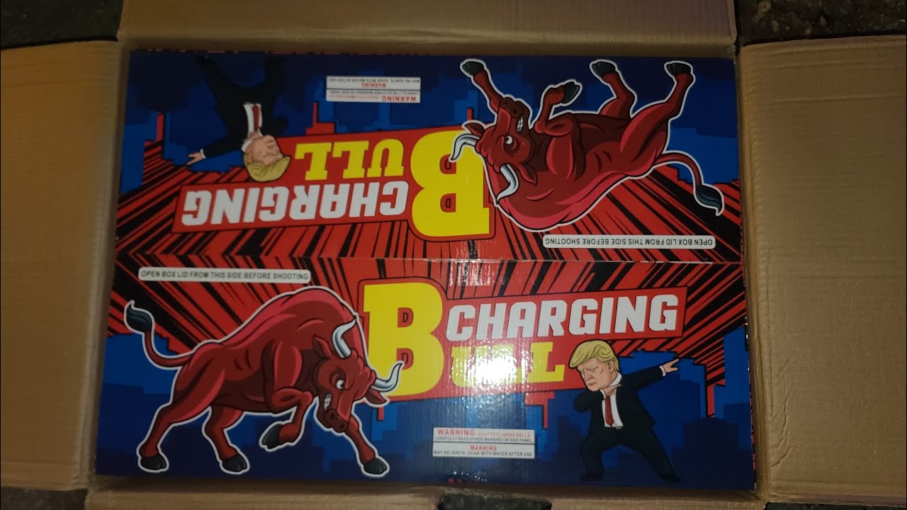 Charging Bull 221shots