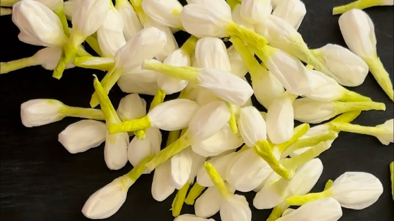 Artificial Jasmine buds Making / Tissue paper craft