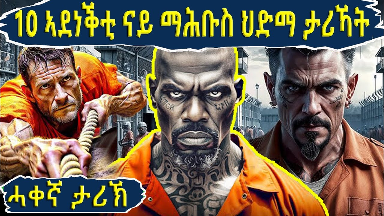 🔴ኣብ ቡፌ ኤሪ ካብ ዝተዘርግሑ ብሉጻት 10 ኣደነቕቲ ናይ ማሕቡስ ህድማ ታሪኽ!! @BUFERI #eritreancomedy #eritreanmoviie #facts