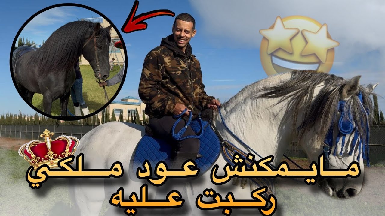 شفت الخيول ملكية عند المقدم خادي.. دوشناليهم وركبت على عود التبوريضة ملكي