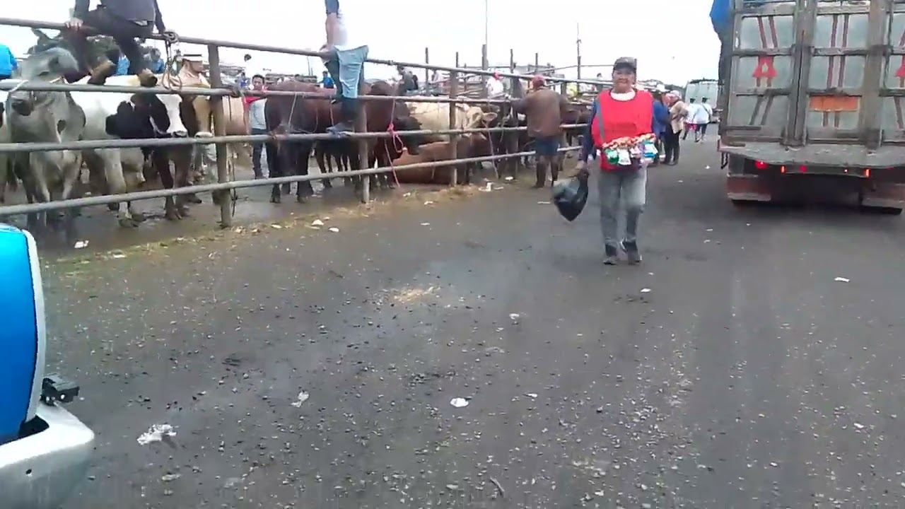 Feria de ganado