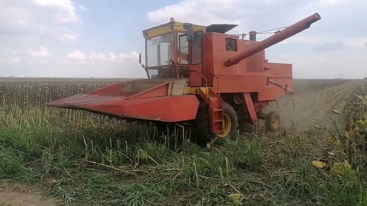zmaj 142 / suncokret 2022