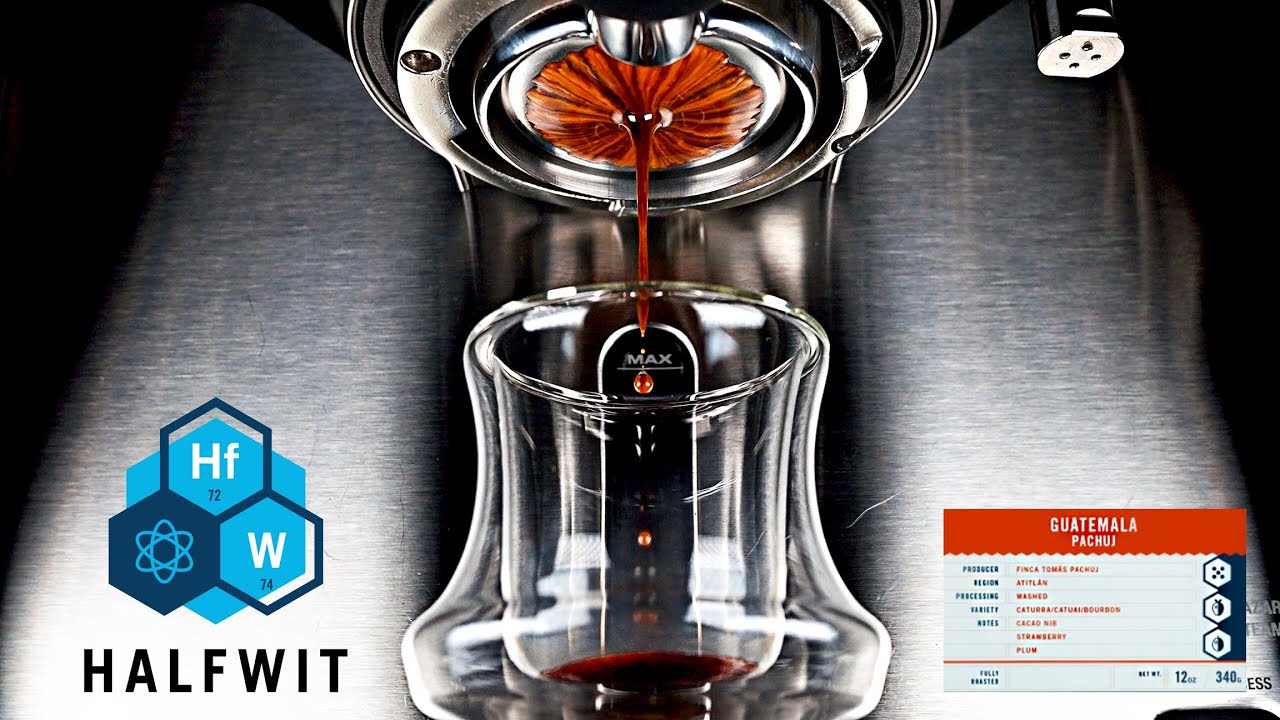 Pachuj Plum Strawberry - Halfwit Coffee's Guatemala Pachuj Extraction Video & Review