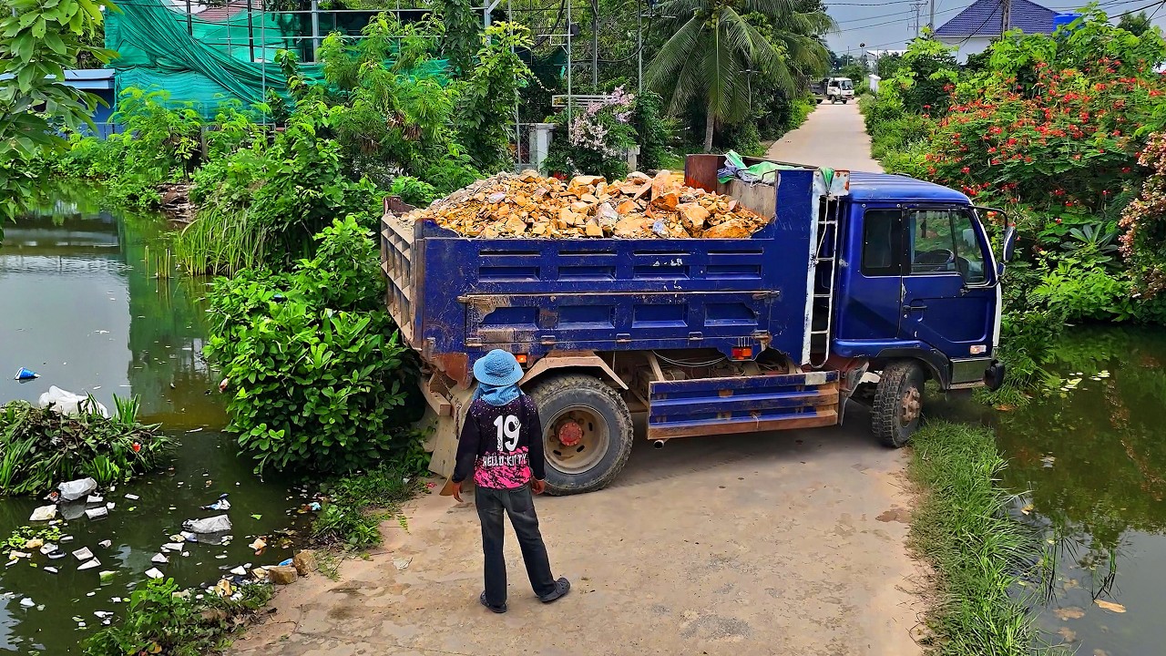Incredible Skill Full Land Filling Project !! Bulldozer Push stone & Team Dump Truck 5Ton Unloading