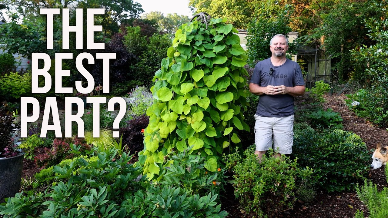 The Best Part of the Big Garden Tour - P5