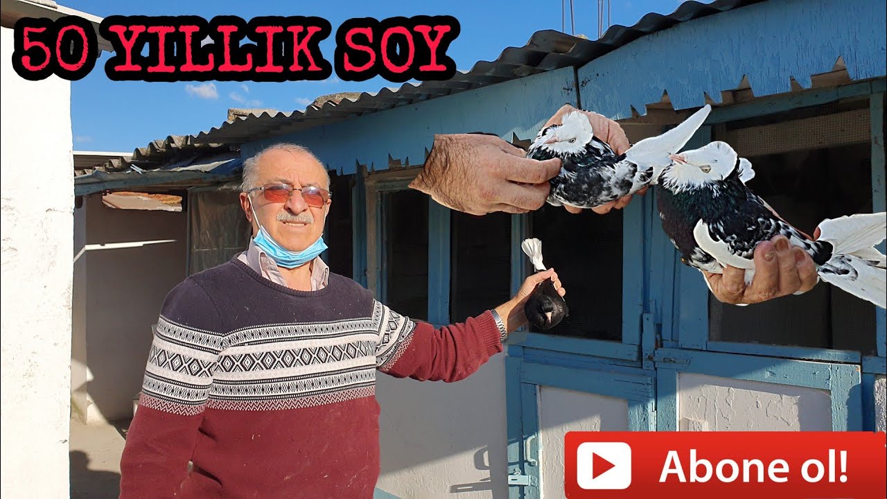 70 YAŞINDAKİ OSMAN ABİMİZİN 50 YILLIK SOYLARI