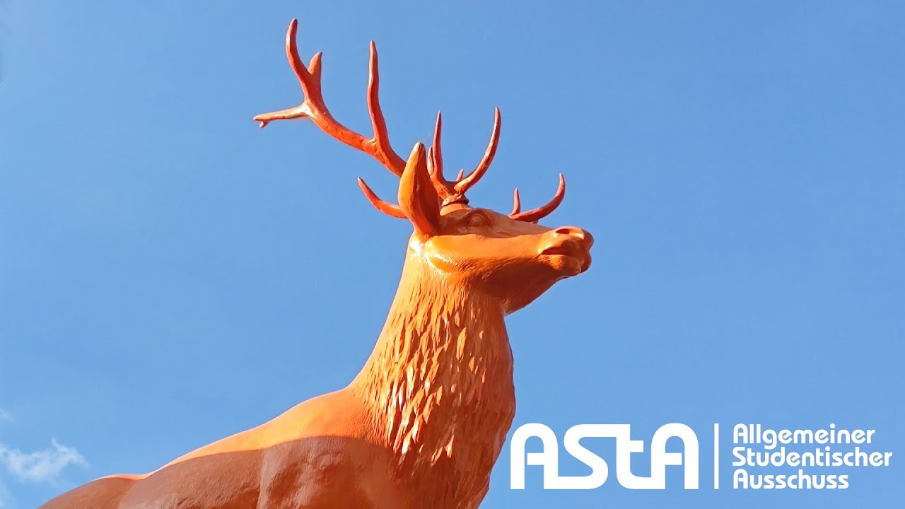 Brokatowe Damy at AStA Summer Party (12.06.2021)