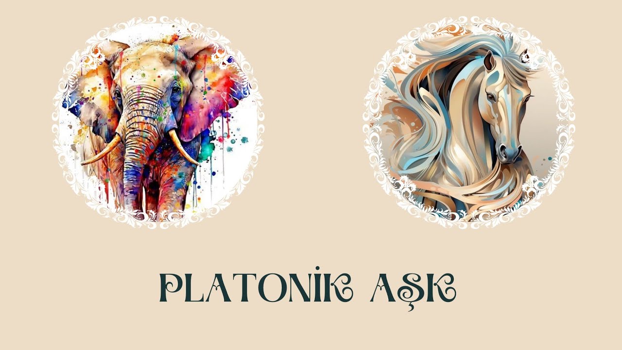 Platonik Aşk Tarot Okuması 🐘🐴
