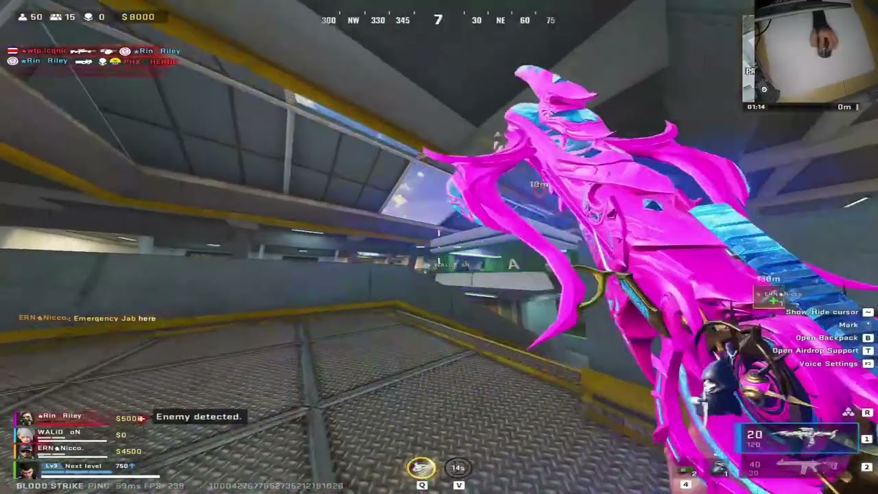 Пользователь Scrims DMA