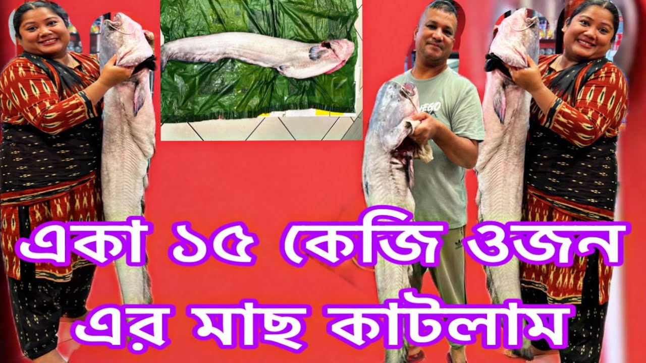 এত বড় বোয়াল মাছ আমি একা কেমনে কেমনে জানি রেডিও করতে পারছি