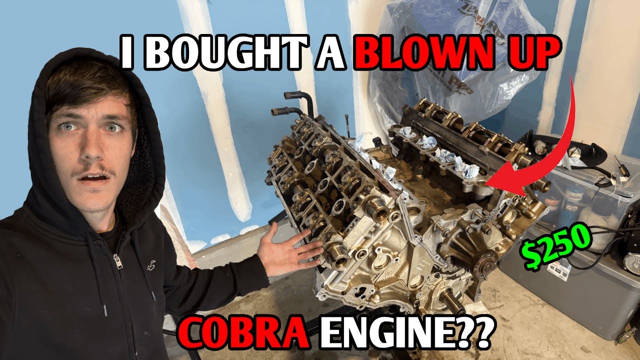 I BOUGHT A 