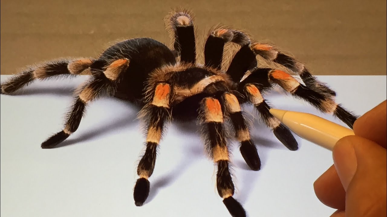 3D Drawing realistic Spider 3D Illusion Spinne Zeichnen iPad Pro Apple Pencil Procreate #3DdrawJG