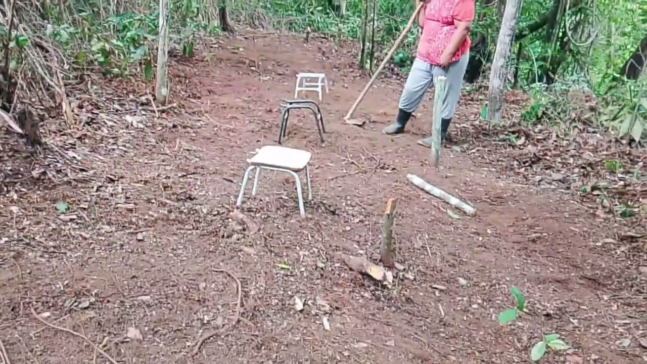⚒️⚒️HOJE FOI DIA DE ABRIR UM NOVO APIÁRIO🐝🐝..