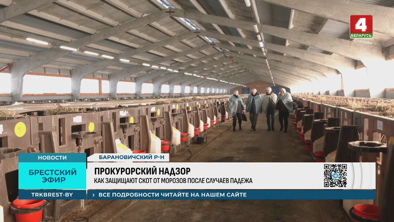 ПРОКУРОРСКИЙ НАДЗОР