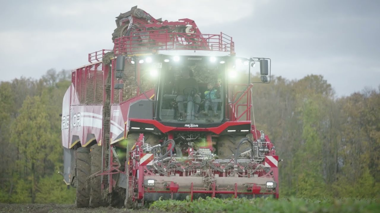 Rübenernte REXOR 6300 | GRIMME