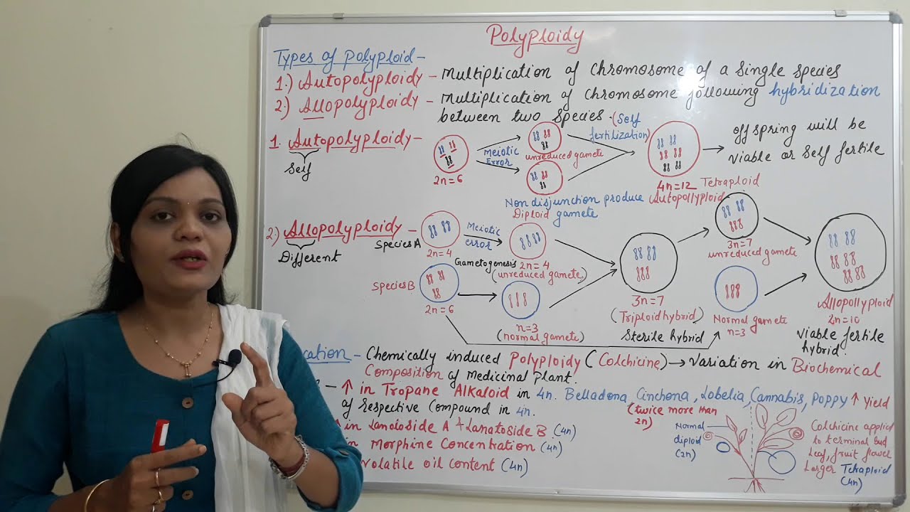 Class (32) = Polyploidy (Part 02) | Types & Application of Polyploidy - Reference to Medicinal Plant