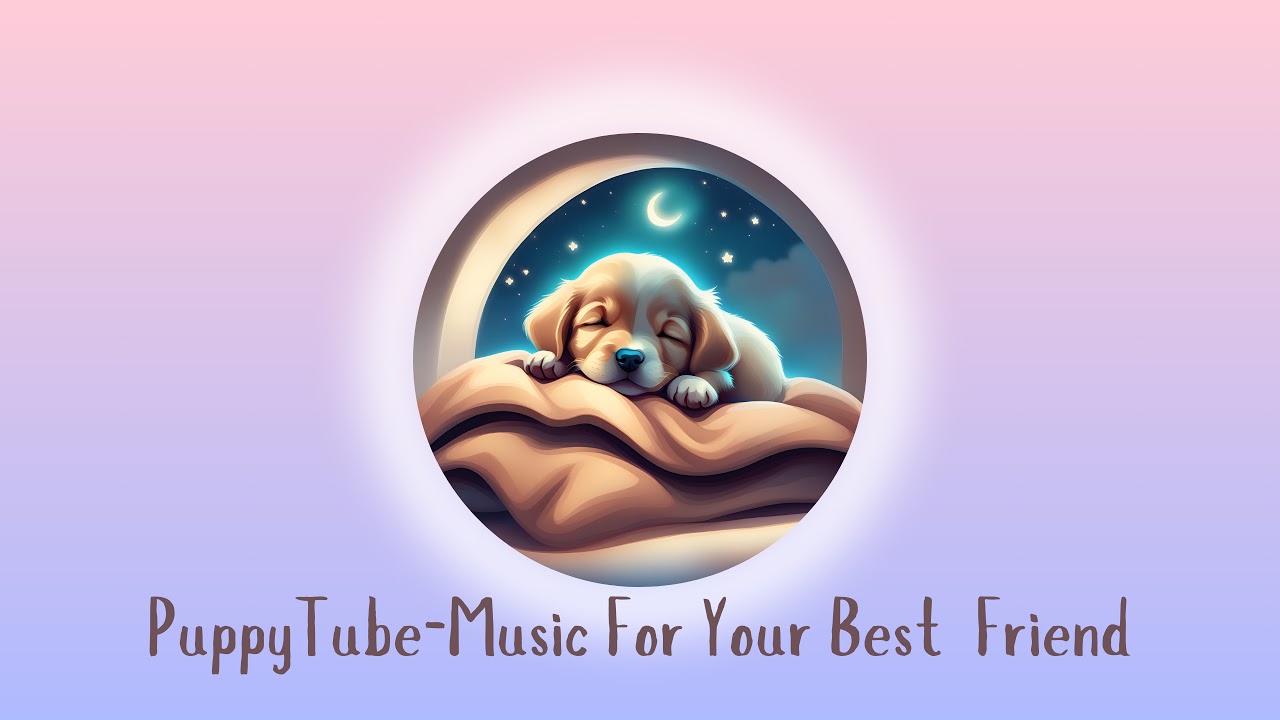 PuppyTube Live Stream