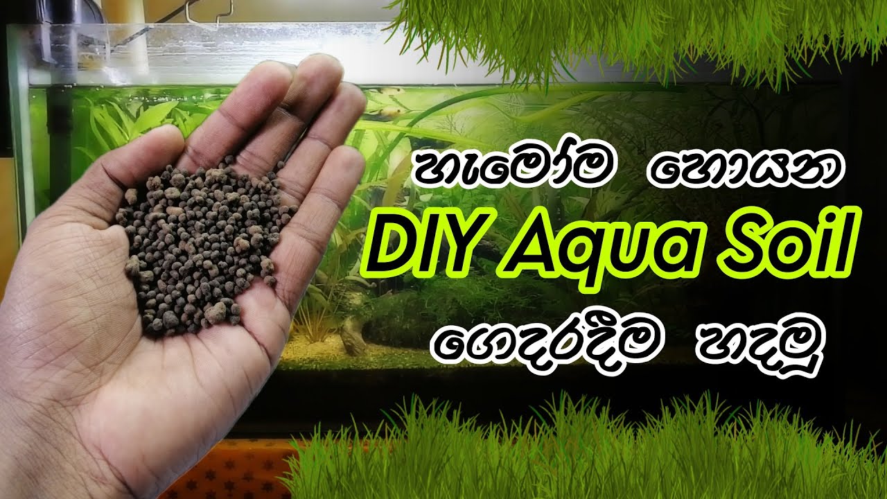 How to Create DIY Aqua Soil | DIY Aqua Soil ගෙදරදීම හදාගමු | තේරෙන සිංහලෙන් සරලව DIY Aqua Soil හදමු.