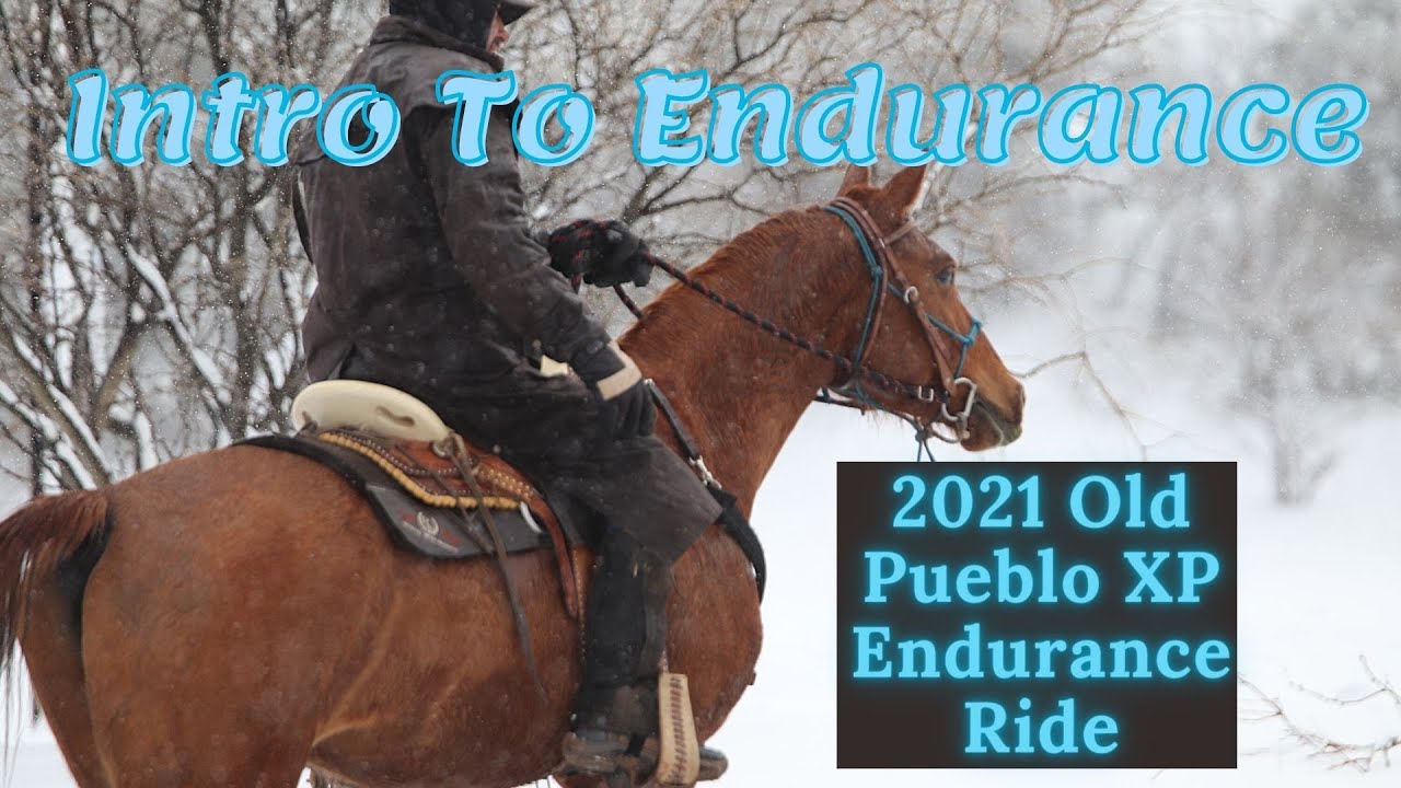 2021 Old Pueblo XP Endurance Ride, introduction to endurance for two young horses