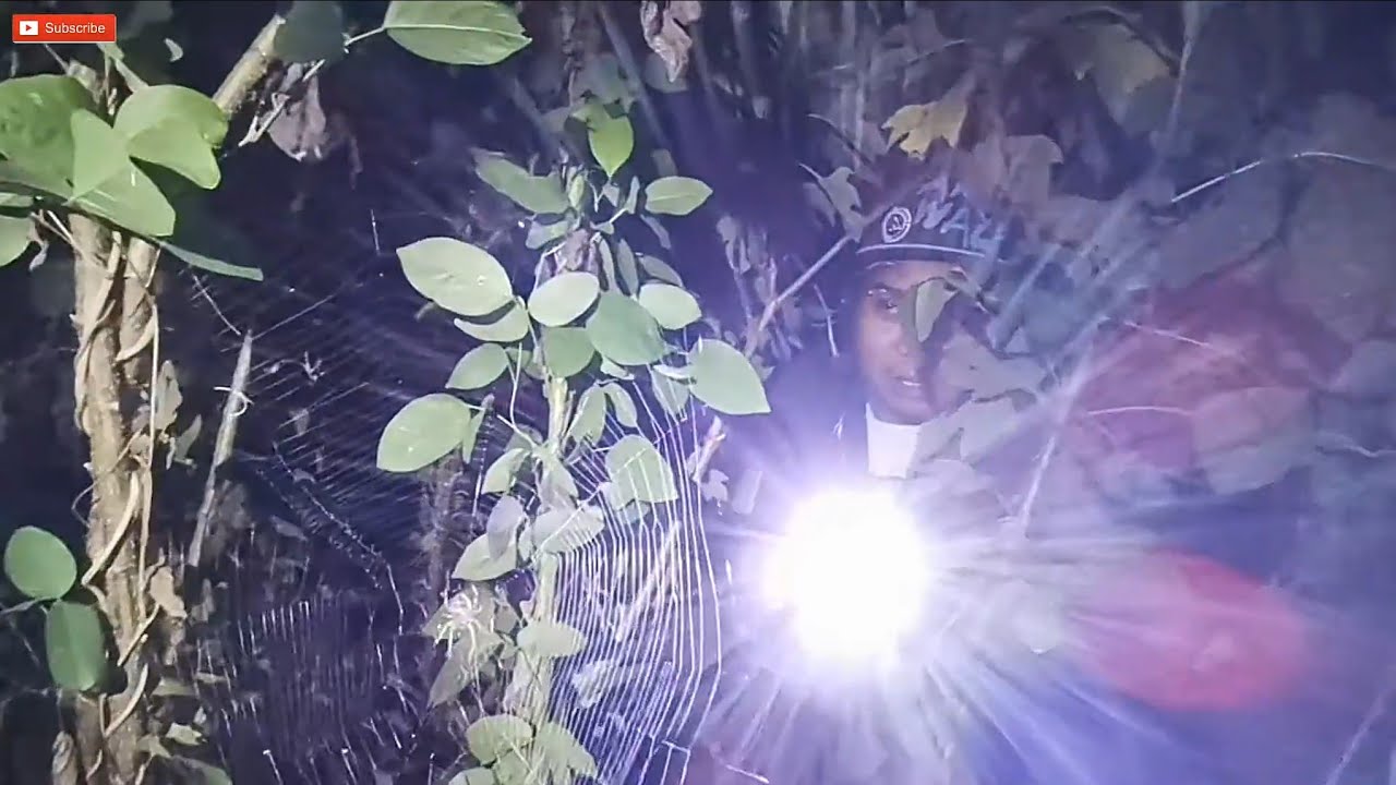 SPIDER HUNTING AT NIGHT | MAG HANAP NG GAGAMBA SA GABI PART 2 | MAYON VOLCANO ALBAY PHILIPPINES