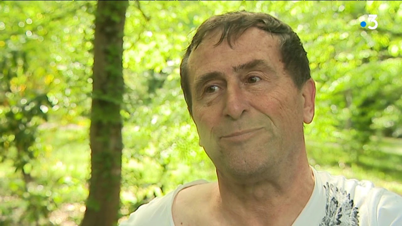 Nichoirs et nids d'oiseaux en Gironde