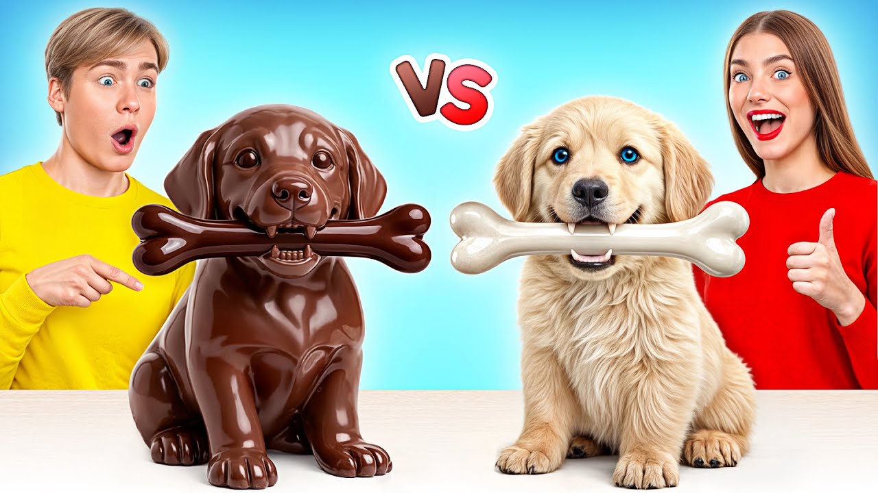 D&eacute;fi Chocolat vs R&eacute;alit&eacute; Nourriture | Moments Amusants en Cuisine par Multi DO Challenge