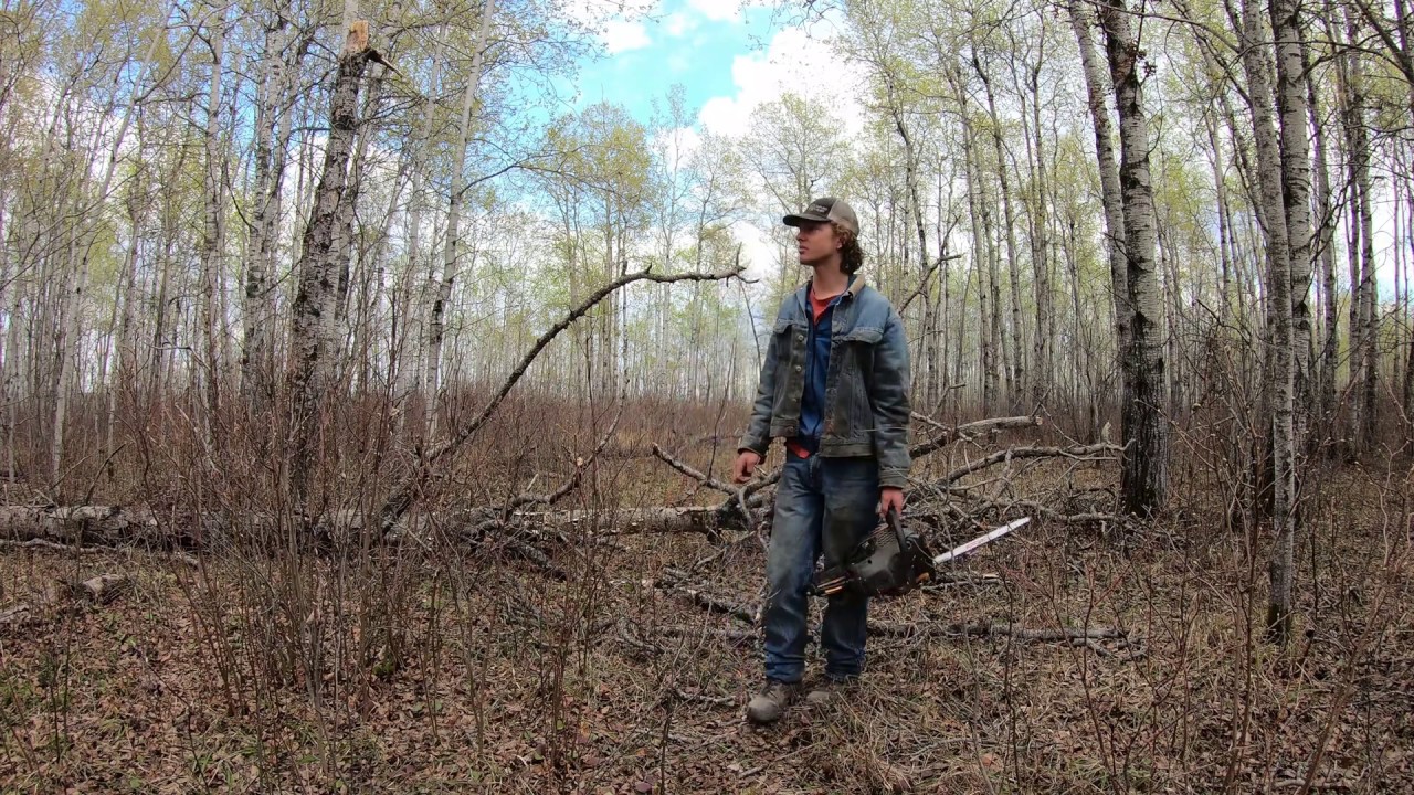 Bushcamp - Opening Trail, Doing Some Exploring