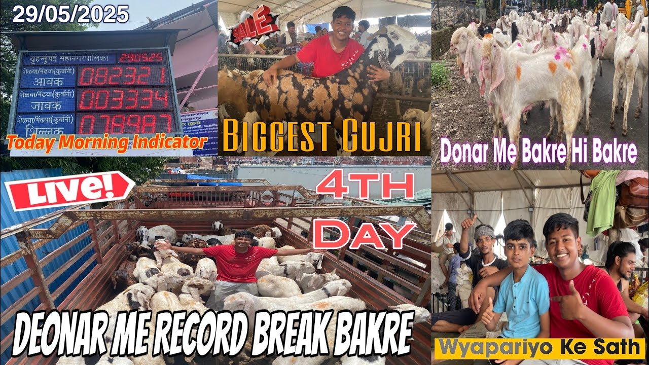 Deonar bakra Mandi latest update today (29/05/2025) || 4Th Day Vlog || “Mandi Tour  with price 