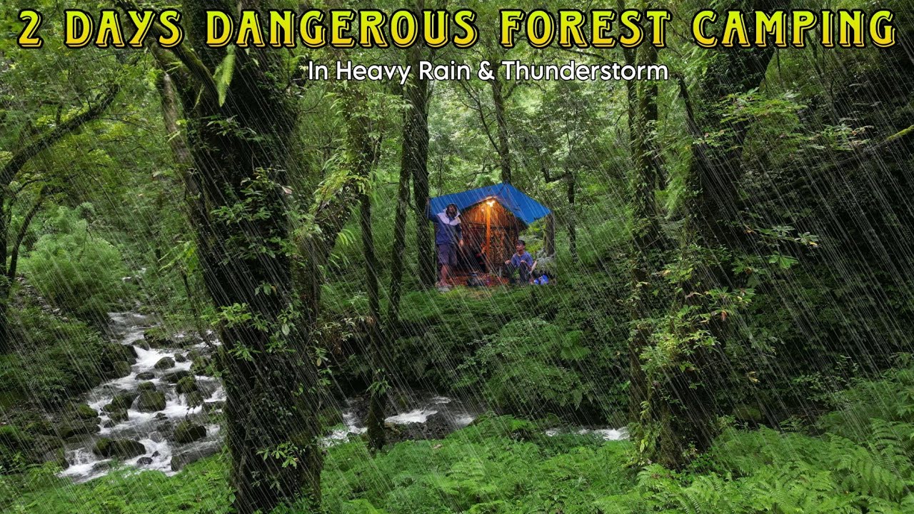 2 DAYS Bushcraft Camping in Heavy Rain & Thunderstorm: Building Warm BUSHCRAFT SHELTER In Forest