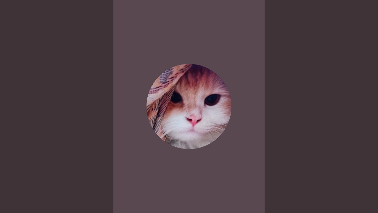 بدأت قناة 