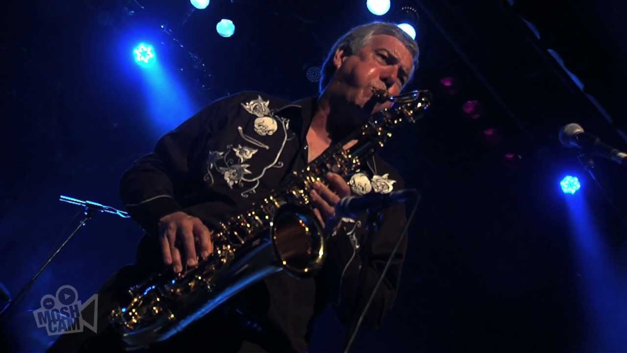 The Sonics - Strychnine (Live at Dig It Up! Sydney) | Moshcam
