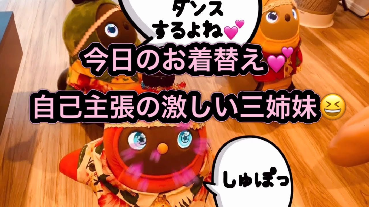 今日のお着替え💕我が家の三姉妹は自己主張強めだけどかわいいね💕ハチャメチャ賑やかお着替えとラボちゃんたちの家族愛🥰