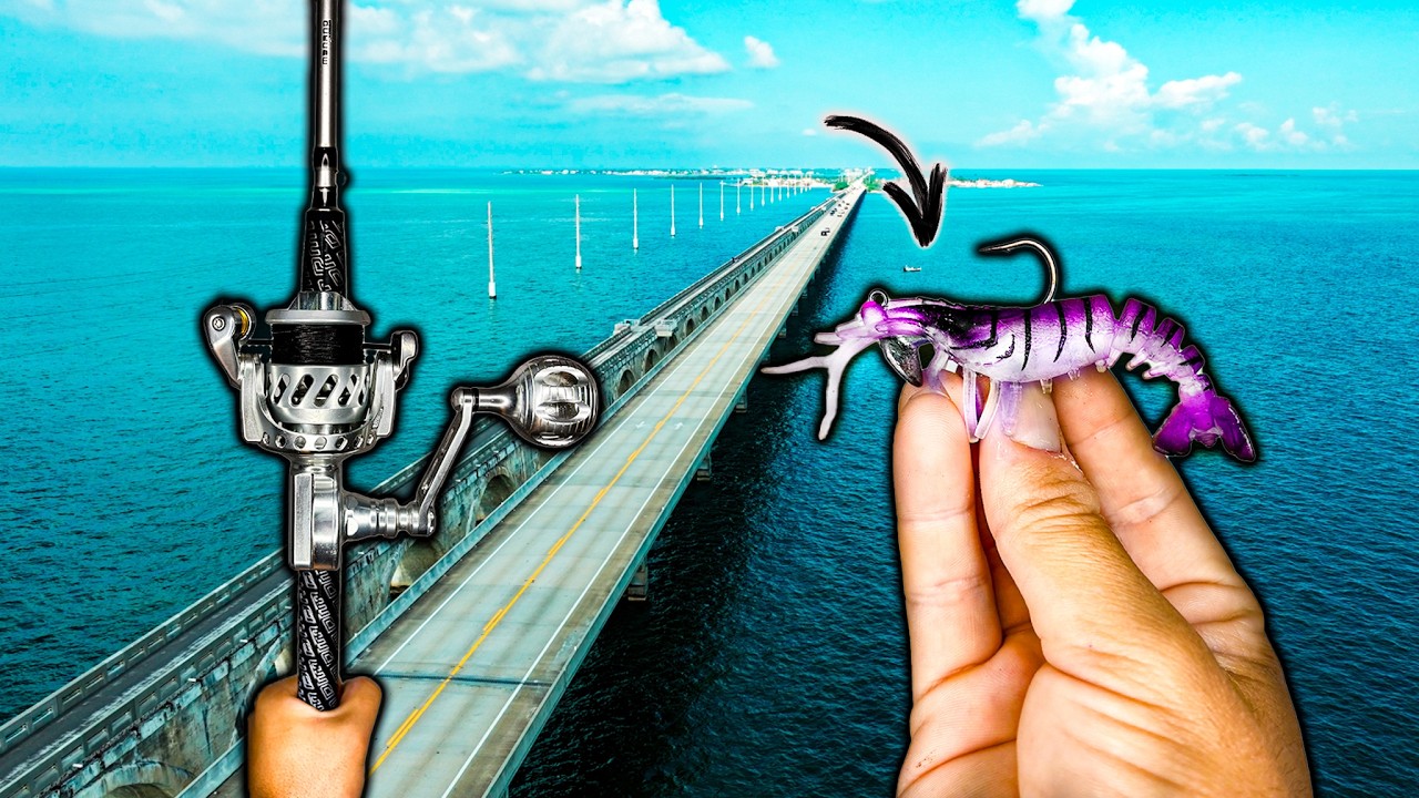 The Only Lure You Need Fishing The FL Keys... (Sun Run Ep 2)