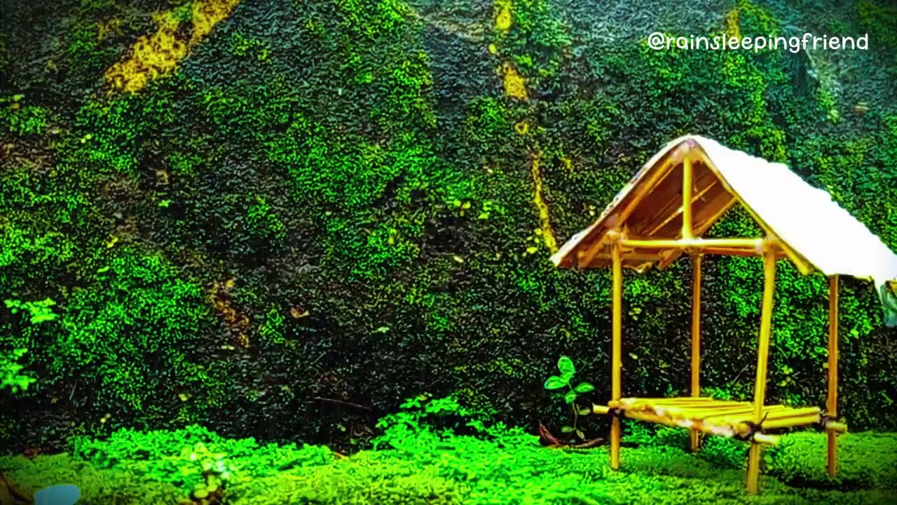 Rainy Countryside Bamboo Hut Ambience with Gentle Stream Sounds for Deep Sleep and Relaxation