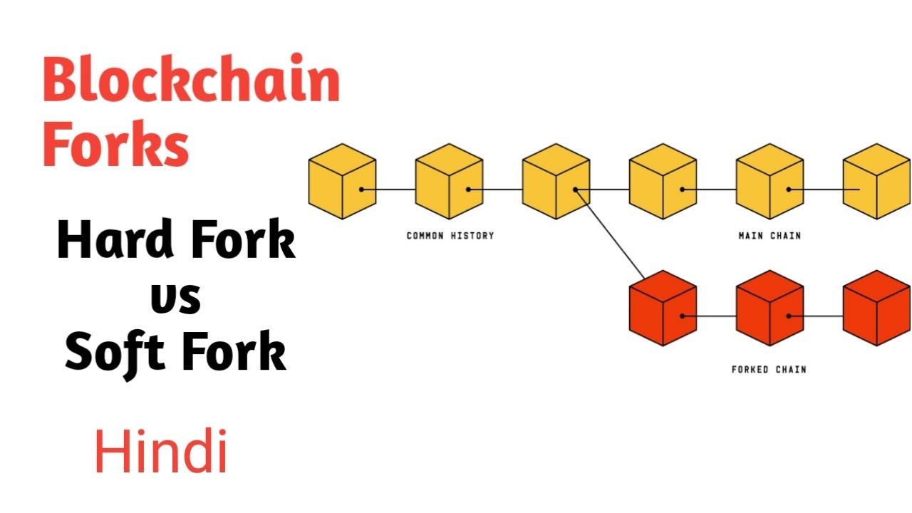 Blockchain Forks