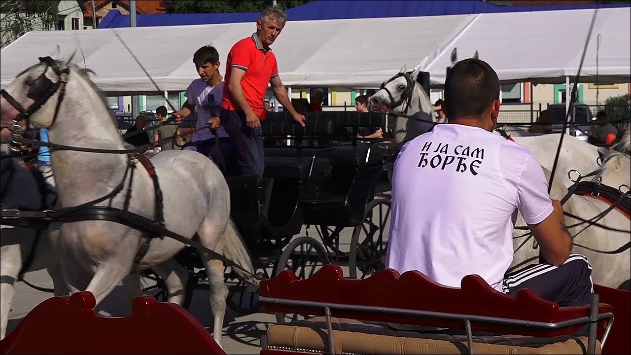 Održana druga Đokijada u Belegišu
