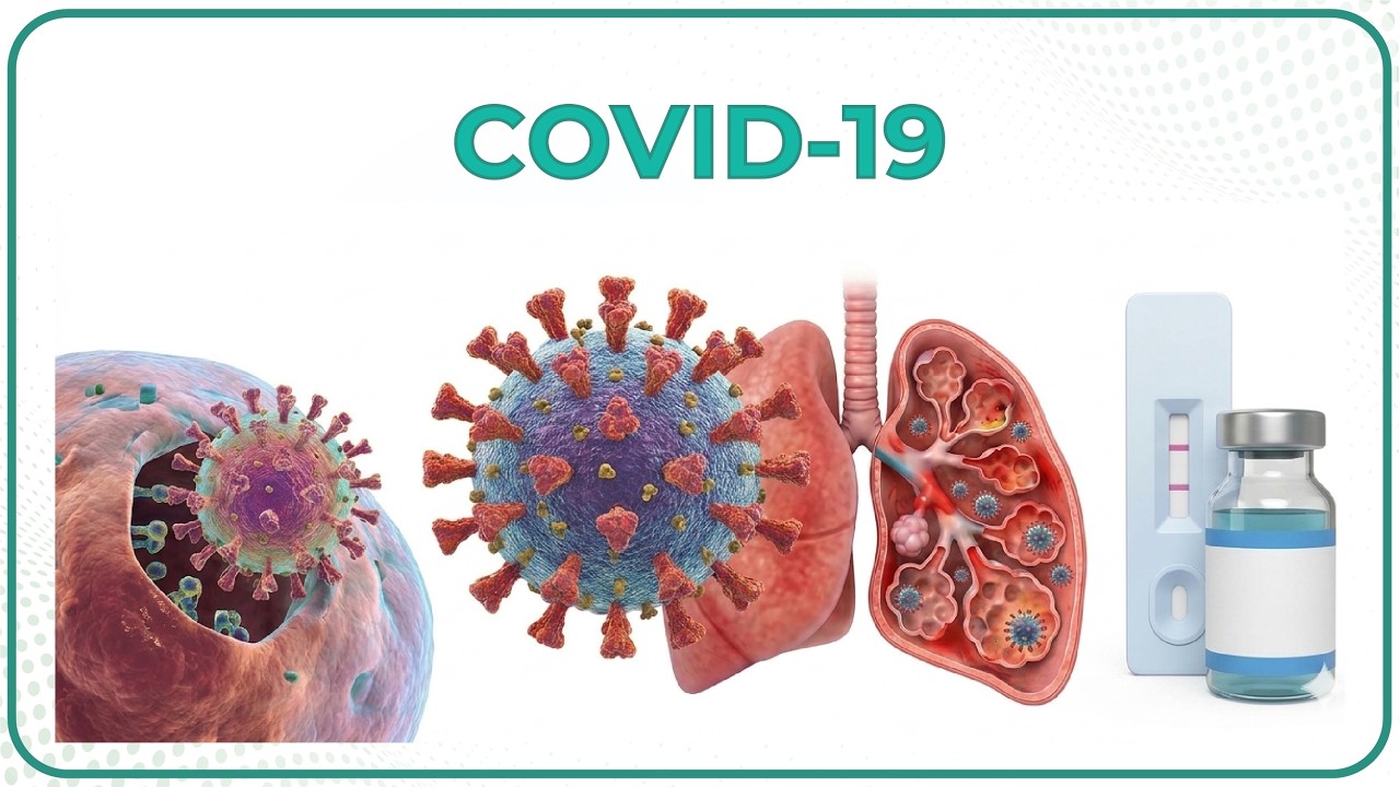 Corona Virus Disease / COVID-19: Sahi aur Galath coronavirus disease ke baare me ( HINDI ) - Part 1