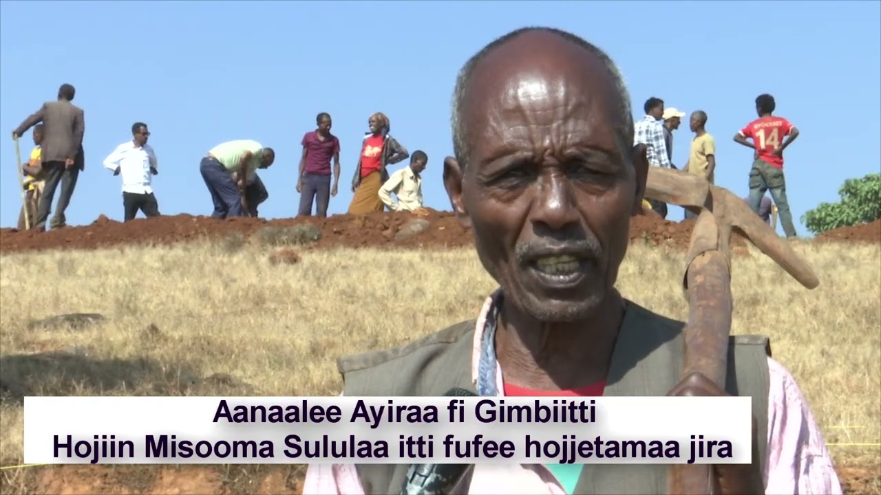 Godina Wallagga Lixaa Aanaalee garaagaraatti hojiin misooma sululaa itti fufee jira.